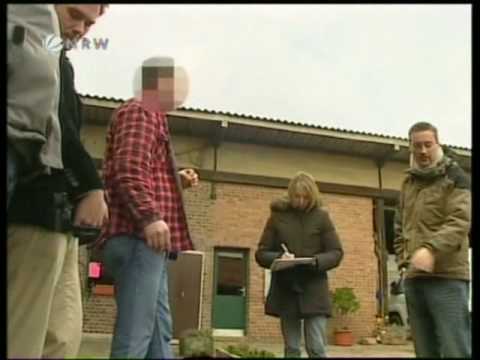 Webversion, 12 02 09 SAT1 17 30 Legehennen 