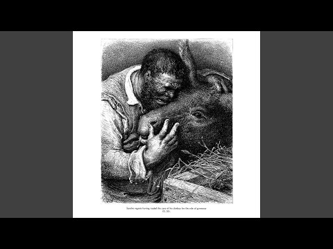 Livin' la Vida Locust