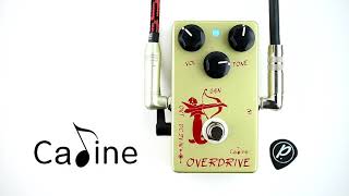 Video thumbnail for Caline CP-99 Medusa Boost Overdrive by Pedal of the Day