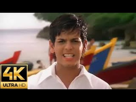 Hector y Tito Ft Trebol Clan   No Le Temas a El = Amor Prohibido  4k 60fps