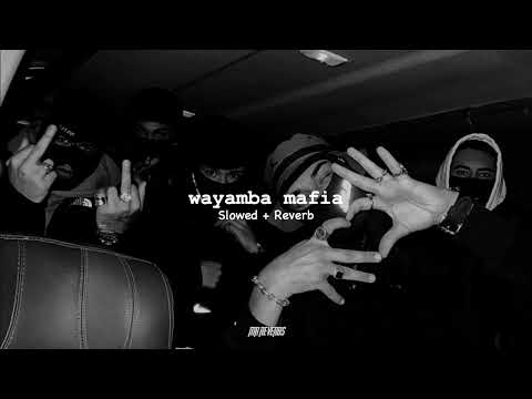 Wayamba Mafia | වයඹ මාෆියා |Slowed + Reverb | RAP | madyama suba rathriya | |Miris Gang