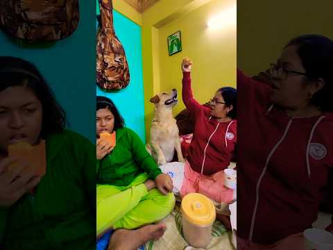 Hai arzoo 😍#music #song #funny #doglover #labrador #coco #pets #love #animals #trending #trend #cute