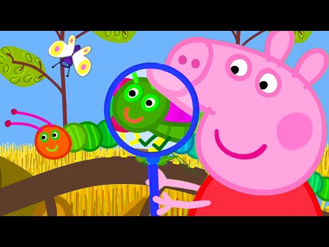 Capa de Tantos insetos! | Peppa Pig Portuguese Brazil Episódios completos