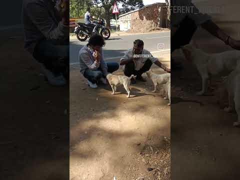 🐕🐶 Humanity // animal lover // street dogs 🐶🐕 // viral // @different_vibes14
