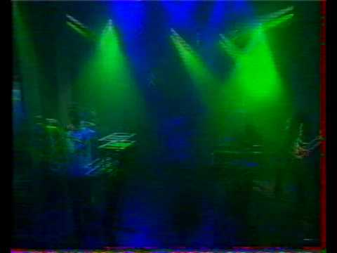 Audioactive feat. Adrian Sherwood - Weed specialist (NPA live 1998)