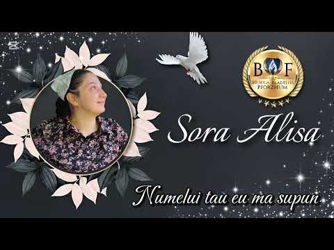 NUMELUI TAU EU MA SUPUN  (Cover) sora Alisa