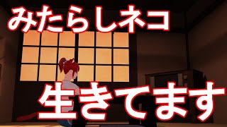 生存報告！みたらしネコです！