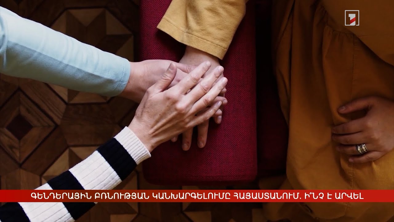 Գենդերային բռնության կանխարգելումը Հայաստանում. ի՞նչ է արվել