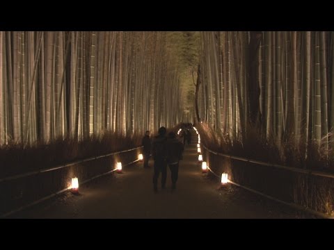 渡月橋や竹林、幻想的に 京都・嵐山ライトアップ