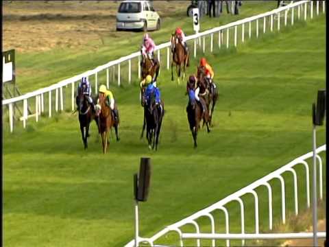 Galopprennbahn Dresden - 07.09.2014 - 7.Rennen