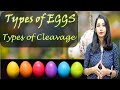 Types Of Eggs Types Of Cleavage I Dev Bio I Embryology I CSIRNET NEET GATE IITJAM TGT PGT BSC MSC