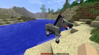 [LindseyGames] Minecraft Ep.2 : Taming Horses