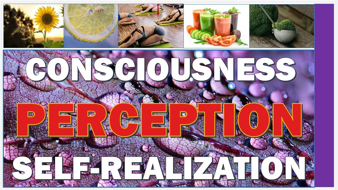 Consciousness Perception & Self realization | The Happy Life
