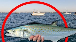 This GOOGAN TRIED TO RUIN Spanish Mackerel Fishing for US