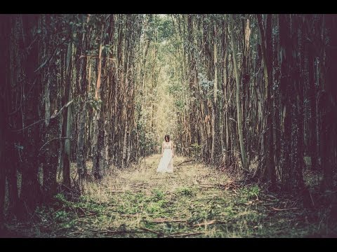 DiiSTORTiiON & Nixie - Anew