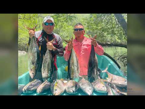 Sabor a Pedasí 🌊 Panamá | playas, pesca y mar de Azuero