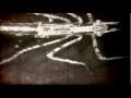 Blank - "Dreamscape" music video - Blank Blank - "Dreamscape" music video