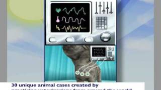 Trailer: Pet Pals: On the Leash