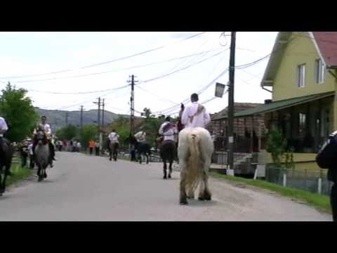 IMPANATUL BOULUI LA MINTIUL GHERLII 2010