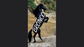 BRONCO ME VOY LEJOS