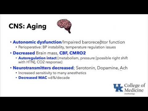 Keyword Review: Aging Phys Pharm and Psych - Dr. Schell