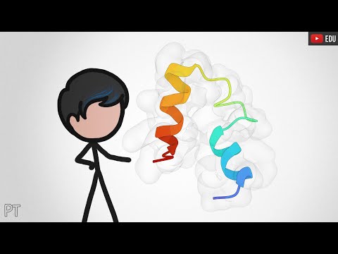 Explicando... Proteínas | Minuto da Terra