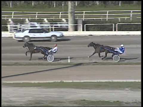 Trotto 19/02/2015 - 1° Prova di riqualifica