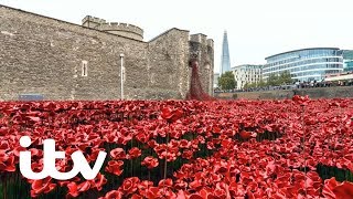 Britain's Poppies: The First World War Remembered Trailer