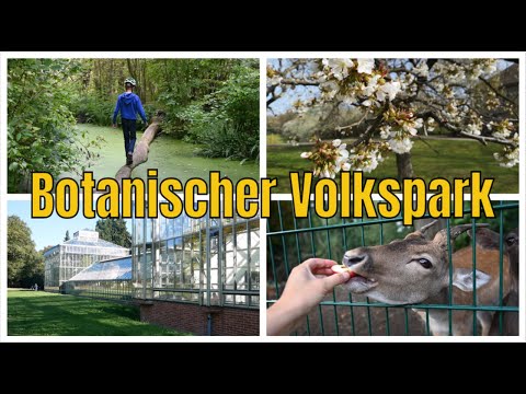 Botanischer Volkspark Blankenfelde-Pankow + Bauerngarten | Ausflugsziel #1