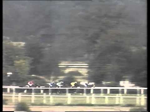 1989 King George VI and Queen Elizabeth Diamond Stakes