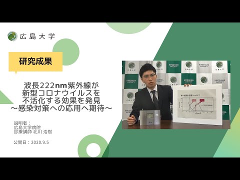 コロナウイルス防御の研究で成功:研究者らが有望な抗体を発見