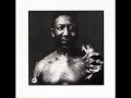 Muddy Waters - Rollin' & Tumblin'