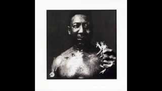 Muddy Waters - Rollin&#39; &amp; Tumblin&#39;