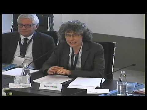 RELATORI: Prof. Camilla Buzzacchi
