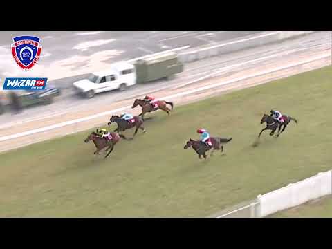 walls of dubrovnik sa do ggt