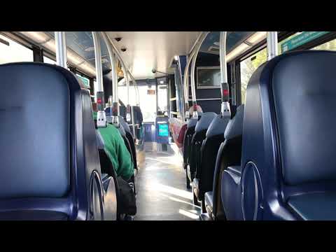 On the 53: Arriva Northumbria NK57 GXA/7508 Dennis Trident 2 ADL Enviro 400