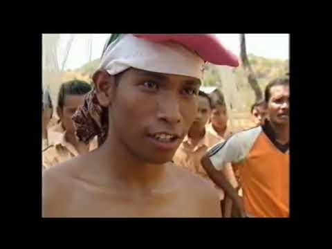 Asal usul TARIAN CACI MANGGARAI