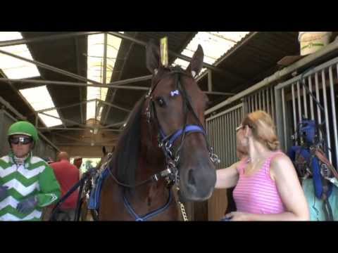 Sweepstakes D Hengsten & Ruins - Davy Boko (Hugo Langeweg Jr )