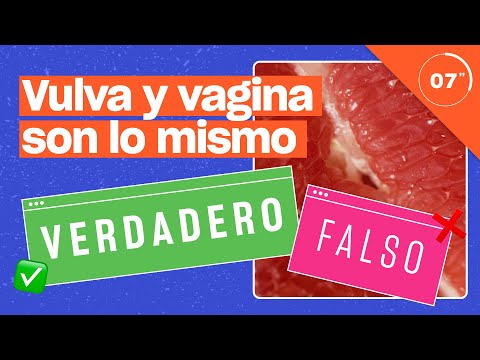 Adivina si estos 21 mitos son VERDADEROS o FALSOS | Quiz