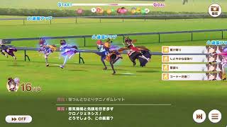 第百四回デイリー凱旋門賞　2025/11/13 晴 良バ場