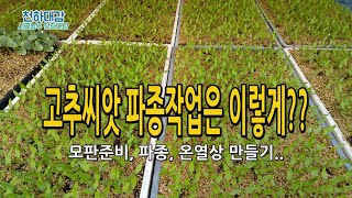 고추씨앗 파종작업 (모판준비,파종,온열상) 이렇게 하세요. 고추재배