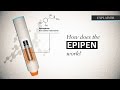 How does the EpiPen work?