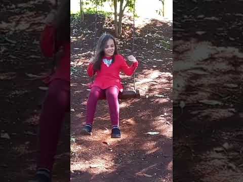 Passeio Em Faxinal-PR