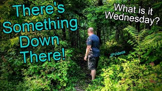 1800s Dual Chamber Tunnel Found in Woods! What is it Wednesday?