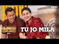 Tu Jo Mila Full AUDIO Song - K.K. | Salman Khan | Bajrangi Bhaijaan mp3