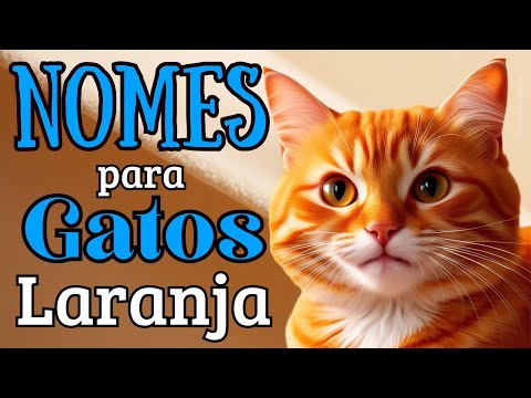 50 Names for Orange Cats 🐾🐈💖#catnames
