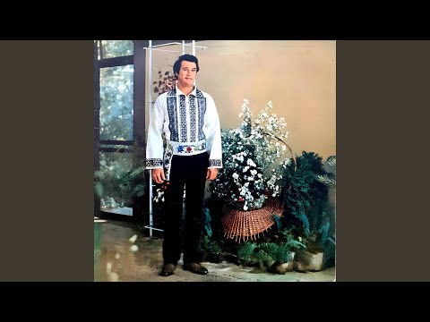 Trece-un Car Cu Boi Pe Drum