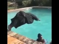 Big Man In Swimming Pool