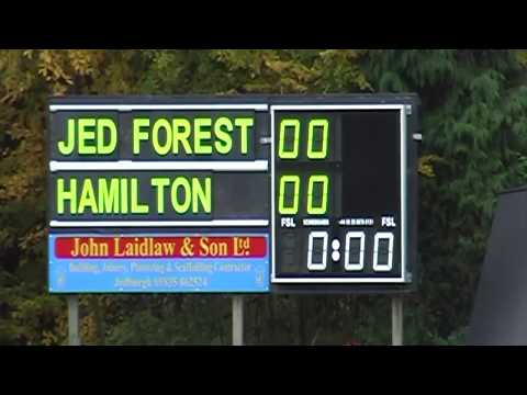 Jed Forest v Hamilton Bulls