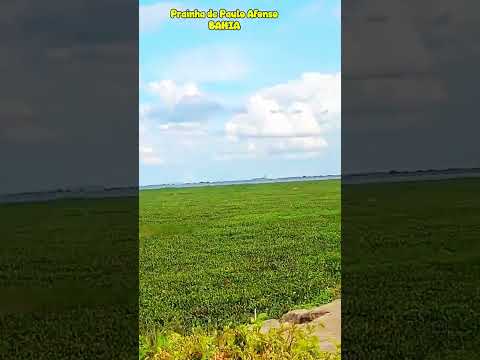 As baronesas tomaram a Prainha de Paulo Afonso BA.#pauloafonso #bahia #baronesa #turismo